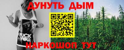 крисы Шахты