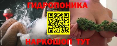 крисы Шахты