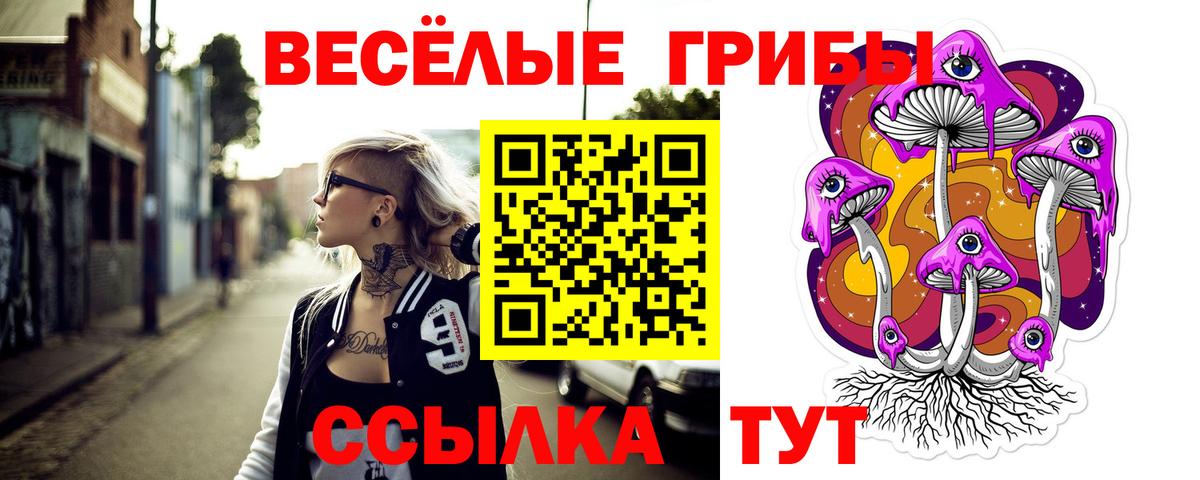 Псилоцибиновые грибы Psilocybe Белебей